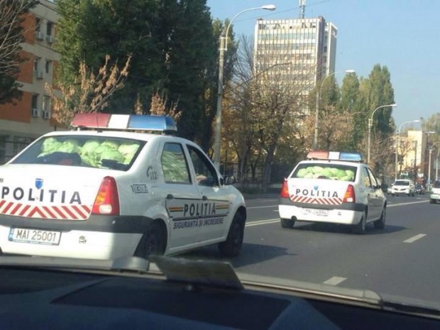 1390717_424127924354925_1784079953_n