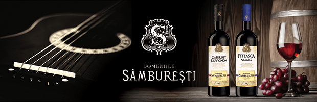 Premiile-ForeverFolk-2016-Samburesti